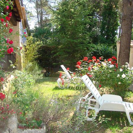L'Oree Du Bois Saint-Maximin-la-Sainte-Baume Ngoại thất bức ảnh